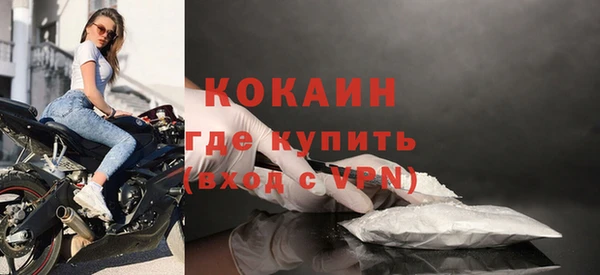 соль ск Алзамай