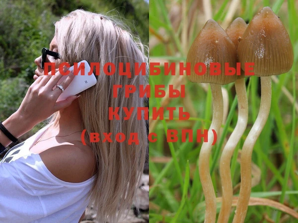мяу мяу мука Алексеевка