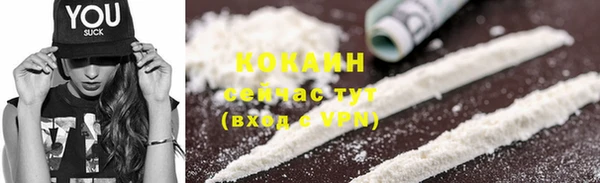 соль ск Алзамай