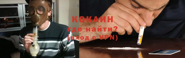 соль ск Алзамай