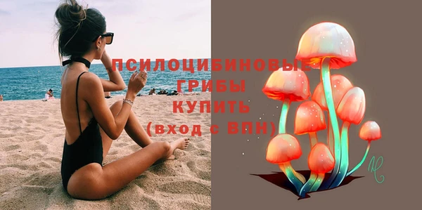 соль ск Алзамай